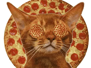 Pizza Yes GIF   Find Share on GIPHY