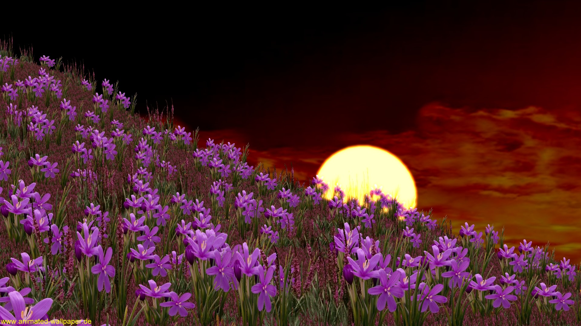 Animated Desktop Wallpaper HD
