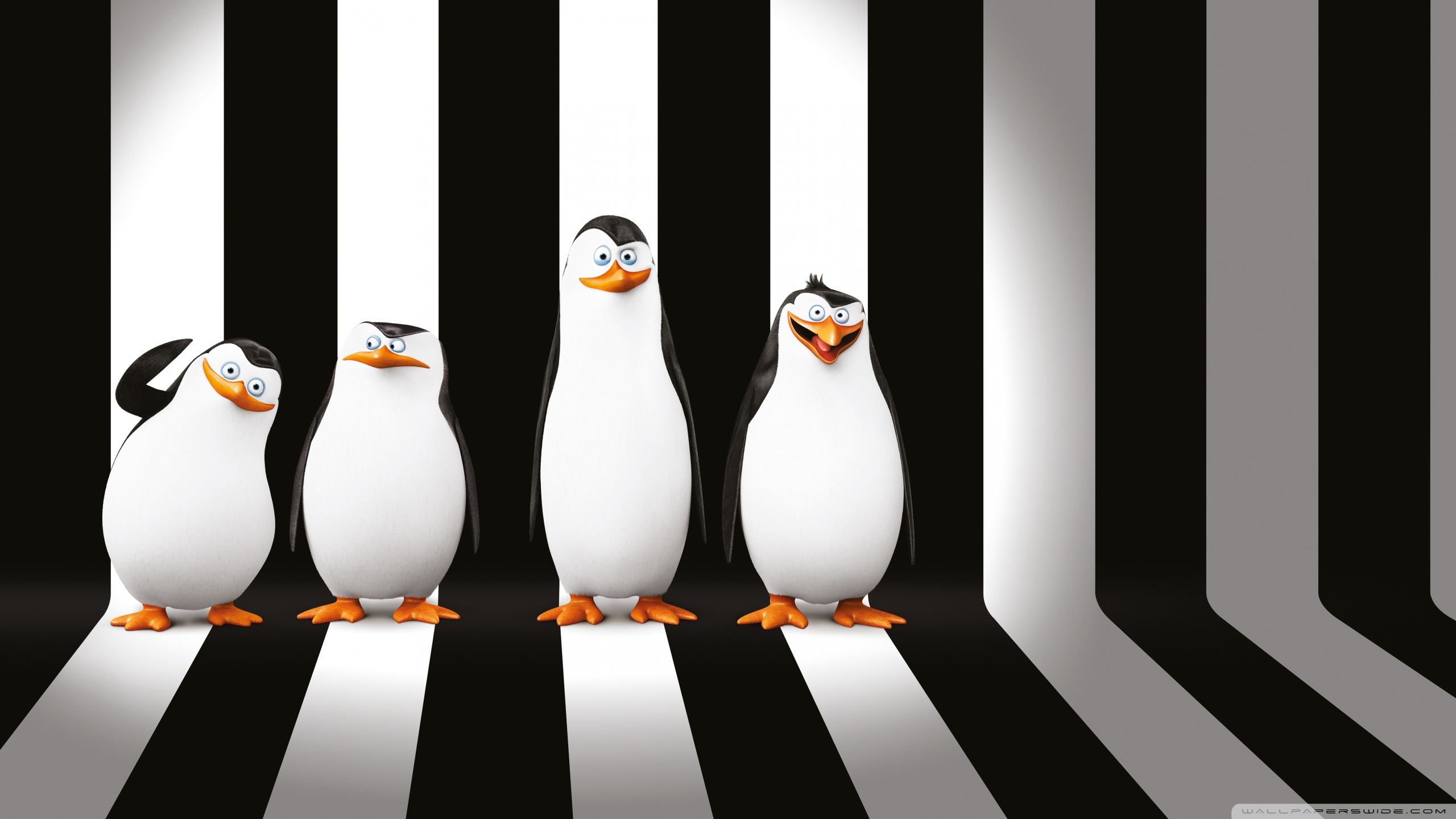 Penguins Of Madagascar Wallpaper X