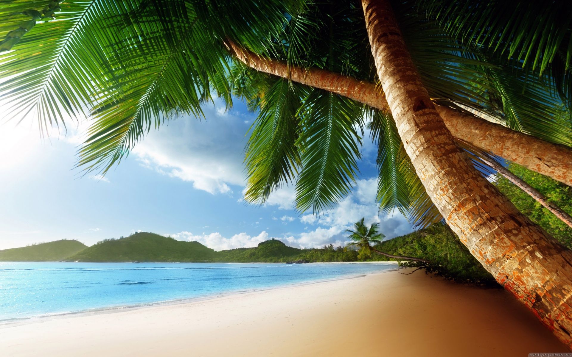 Free Download Caribbean Beach Wallpaper HD For Your Desktop Nature