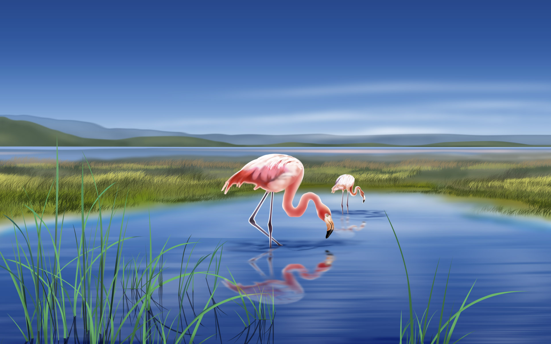 Flamingos Wallpaper Stock Photos