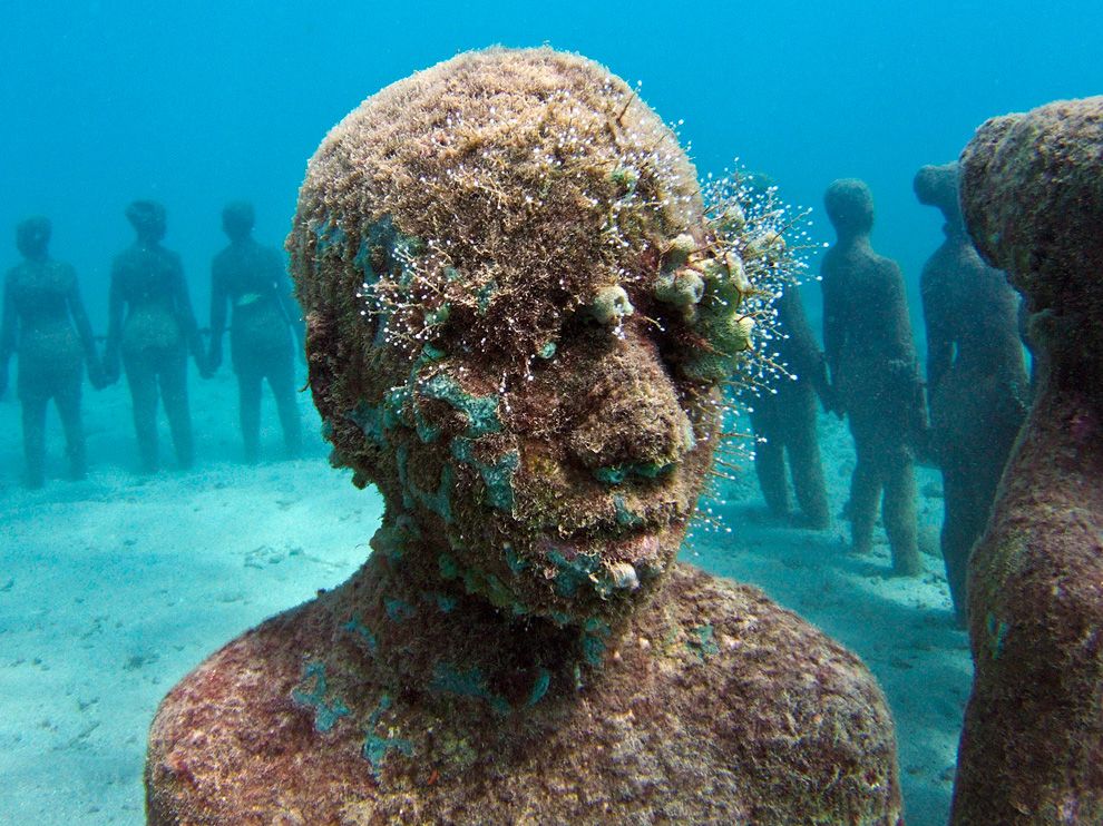 National Geographic Wallpaper Underwater Sculpture Park Grenada
