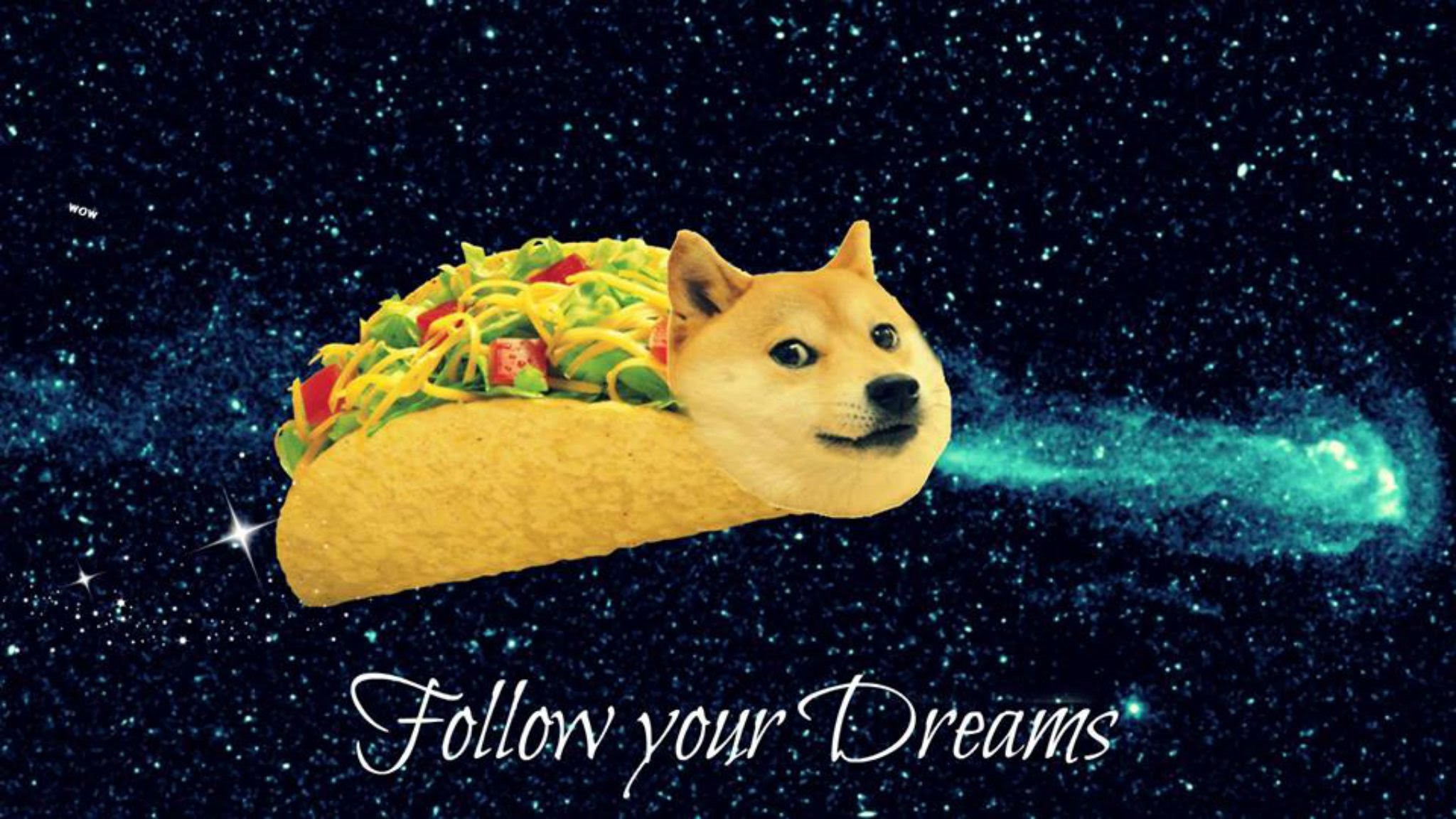 🔥 Free Download Doge Meme Wallpaper by @jeffreylewis | WallpaperSafari