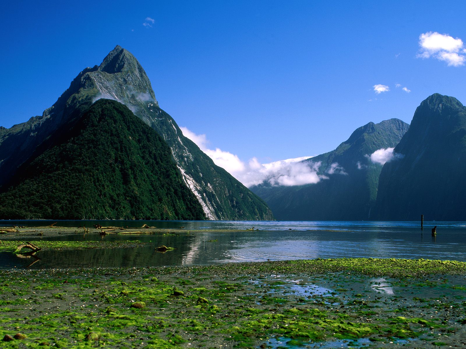 Pictures World New Zealand Beautiful Wallpaper 1600 1200