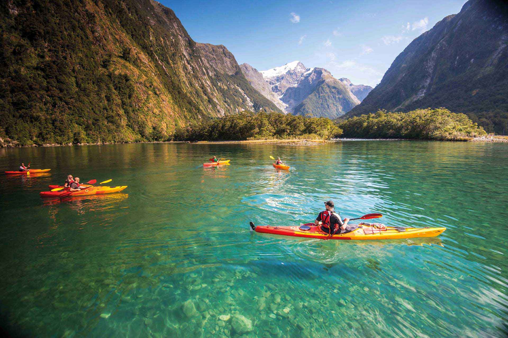 Cruise Kayak Milford Sound Southern Discoveries