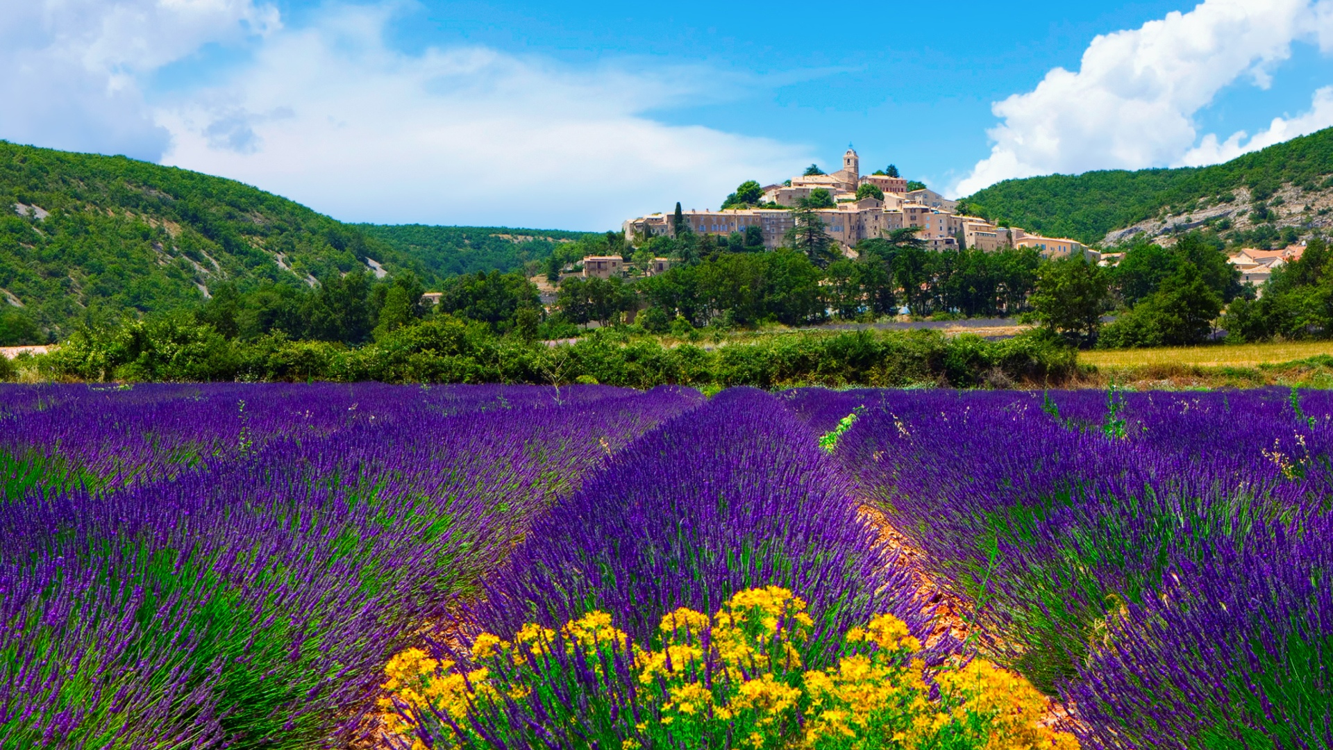 Lavender Field In Provence France Wallpaper For