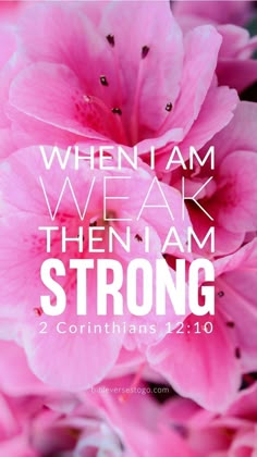 Pink Christian Wallpaper And Ideas To Save
