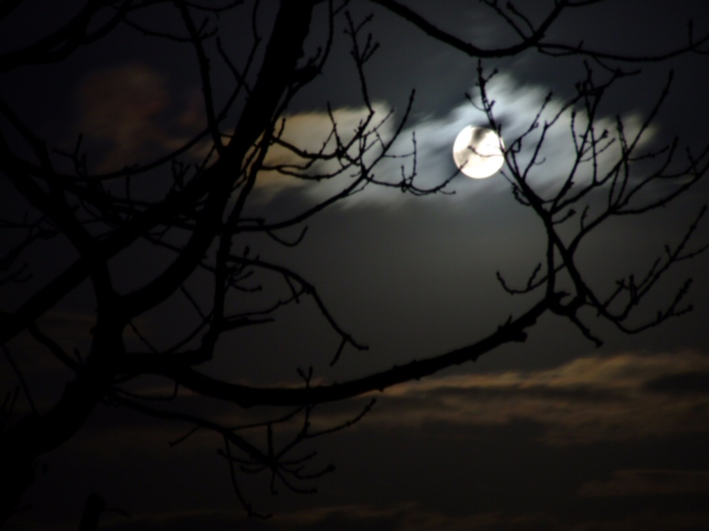 Moonlight Moon Night Photos Desktop Background Wallpaper
