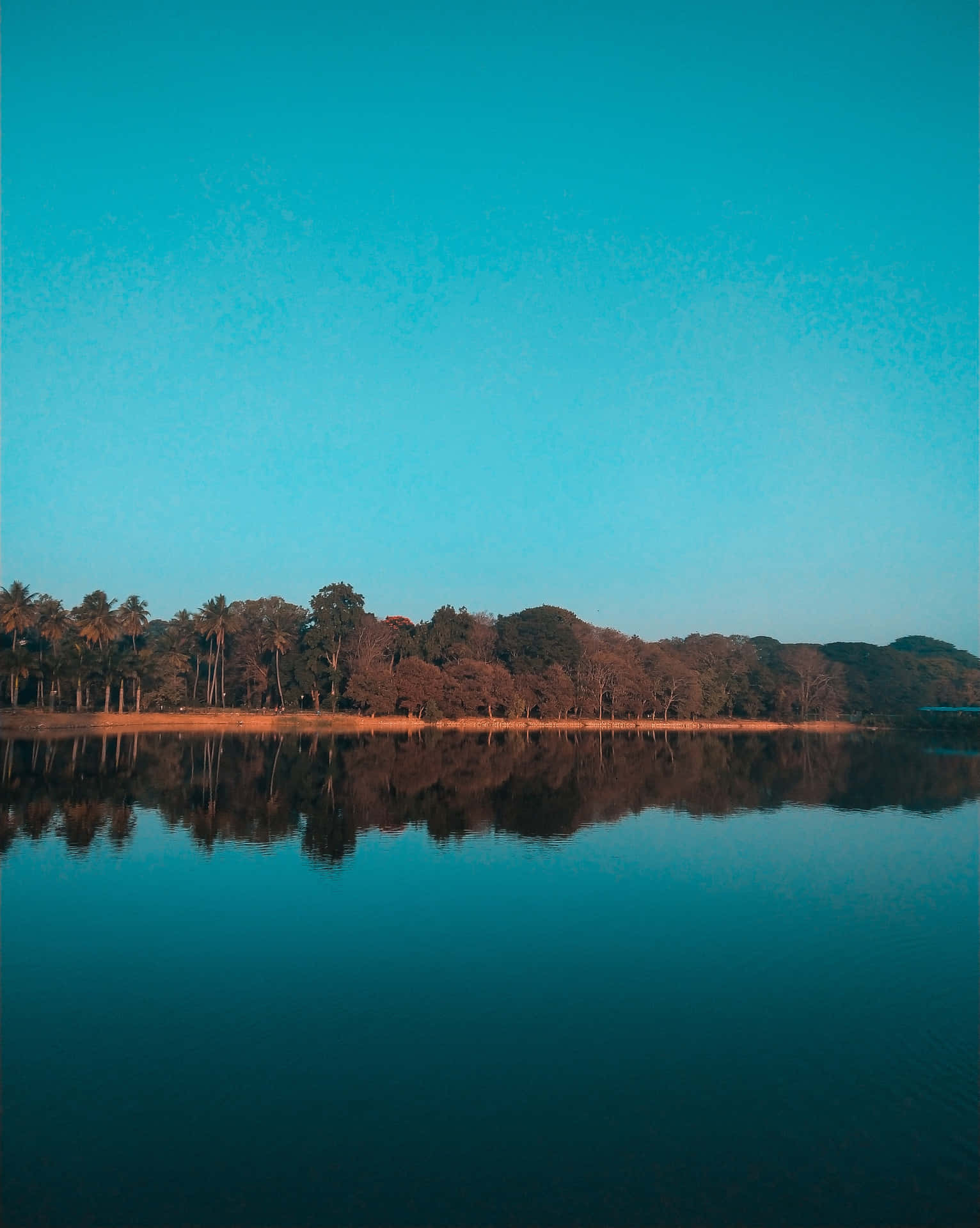 Placid Afternoon In The Lake Wallpaper