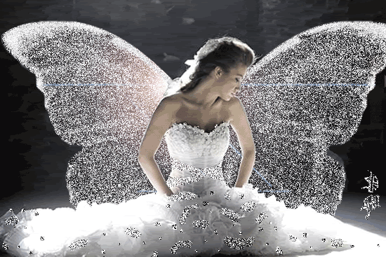 Angel Of Serenity Animated Angels Photo