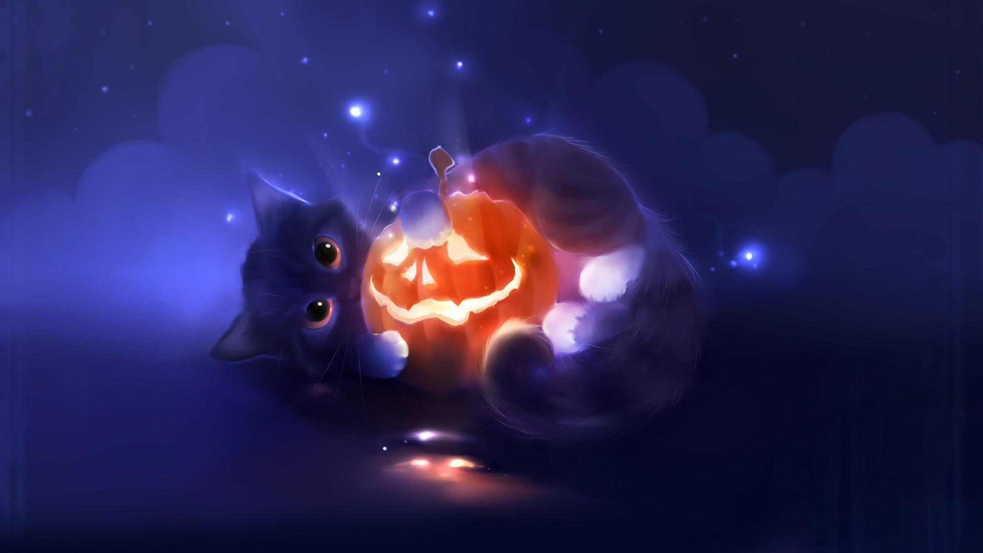 Jack O Lantern Kitten Cat Halloween Holiday Holidays HDw