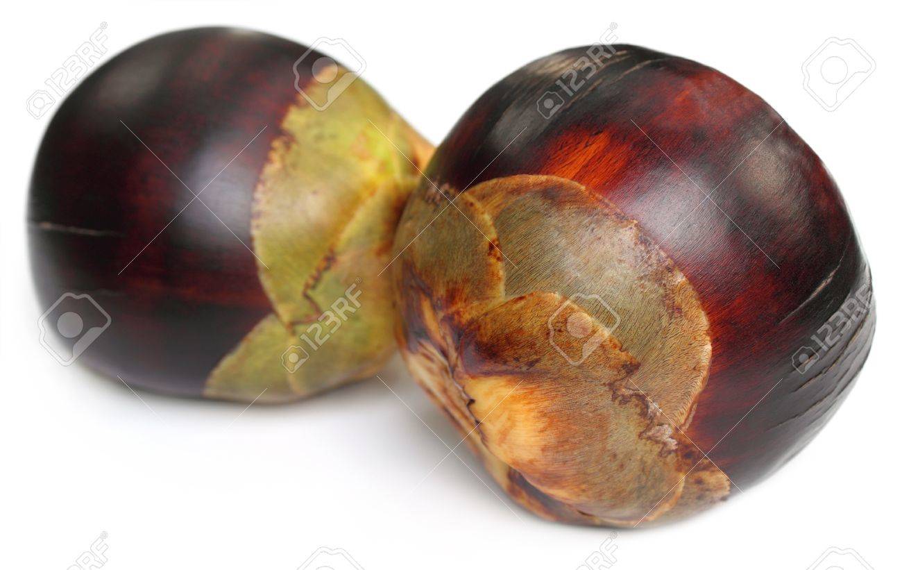 [52+] Tal Backgrounds | WallpaperSafari