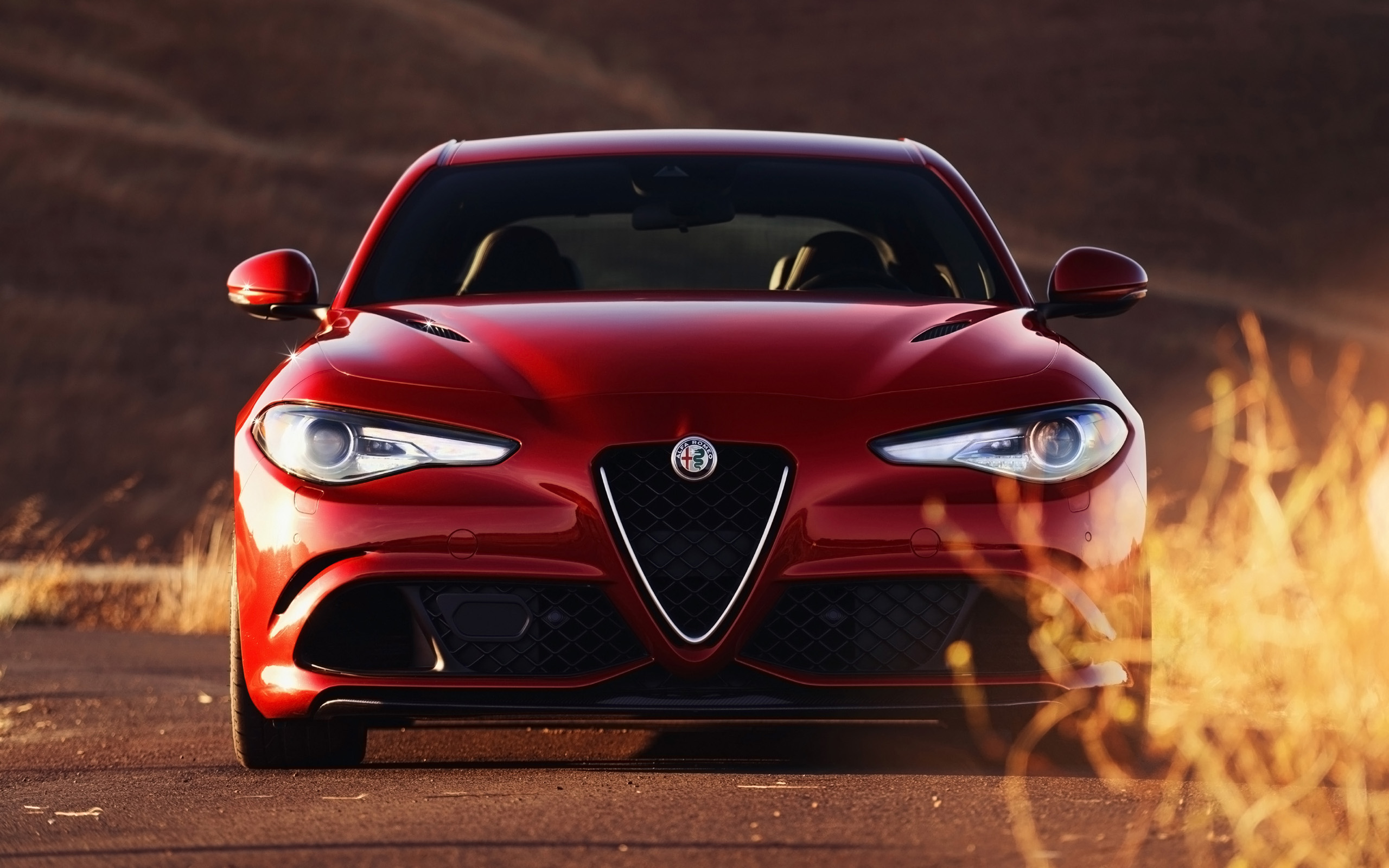 43++ Alfa Romeo Wallpaper Hd 2560 X 1600 free download