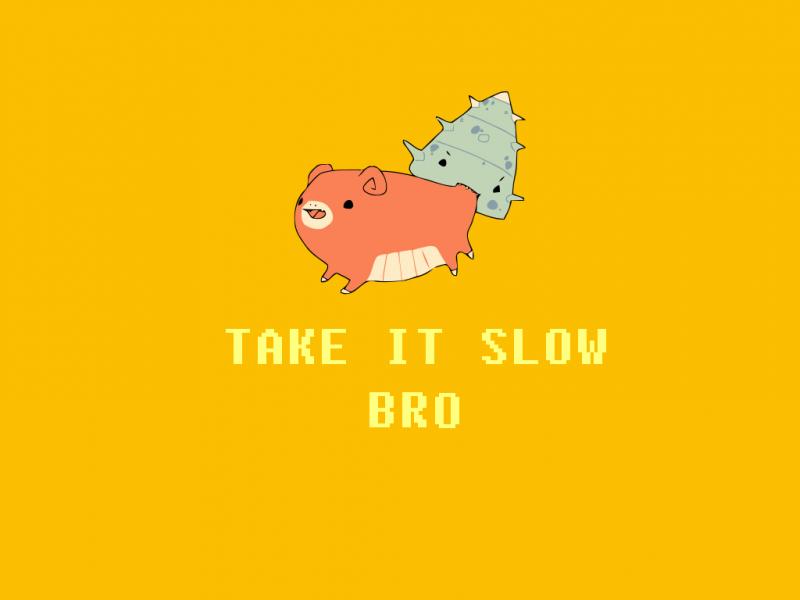 Pokemon Slowbro Ok