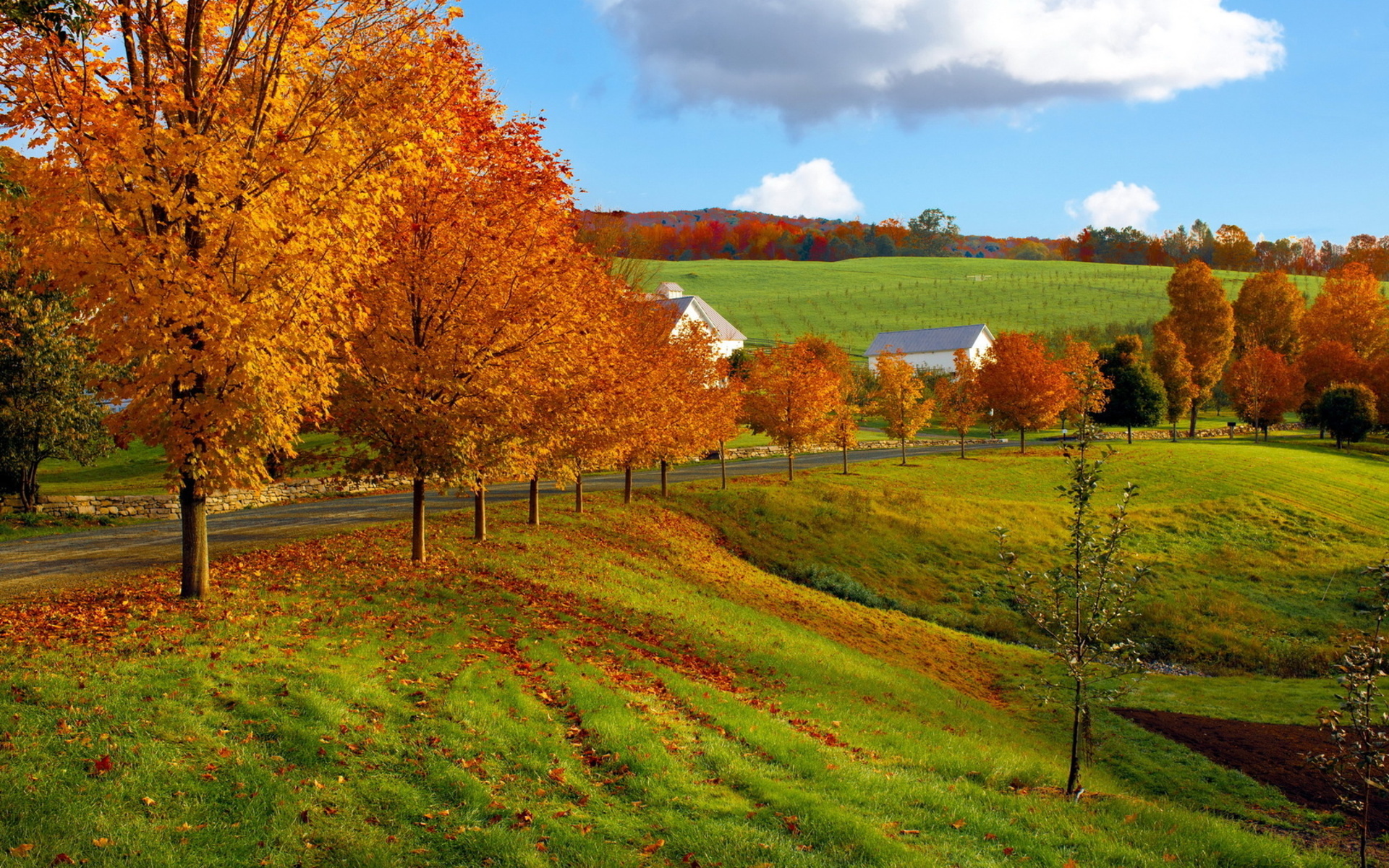 Landscapes Autumn Fall Seasons Leaves Fields Grass Roads Fence Farm