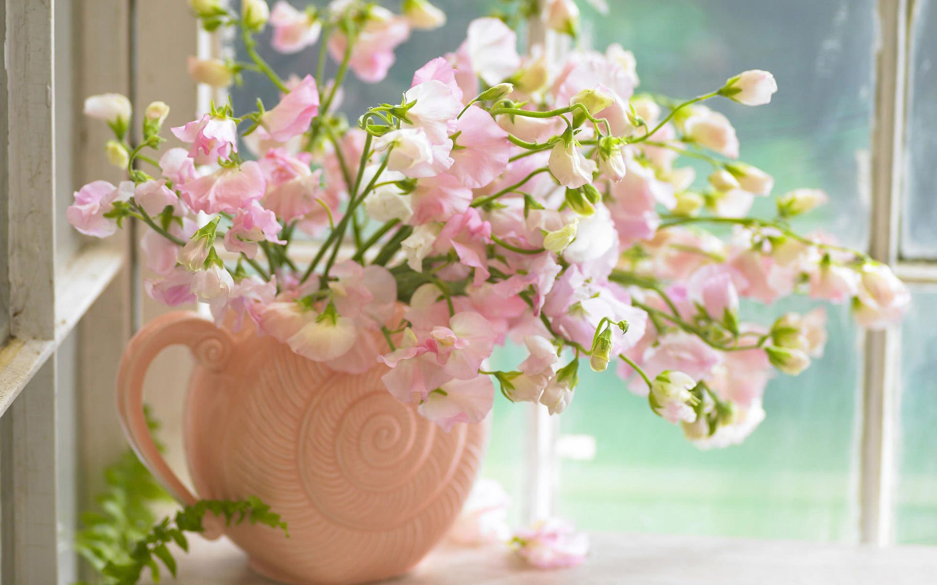Flowers In Vase HD Wallpaper Res