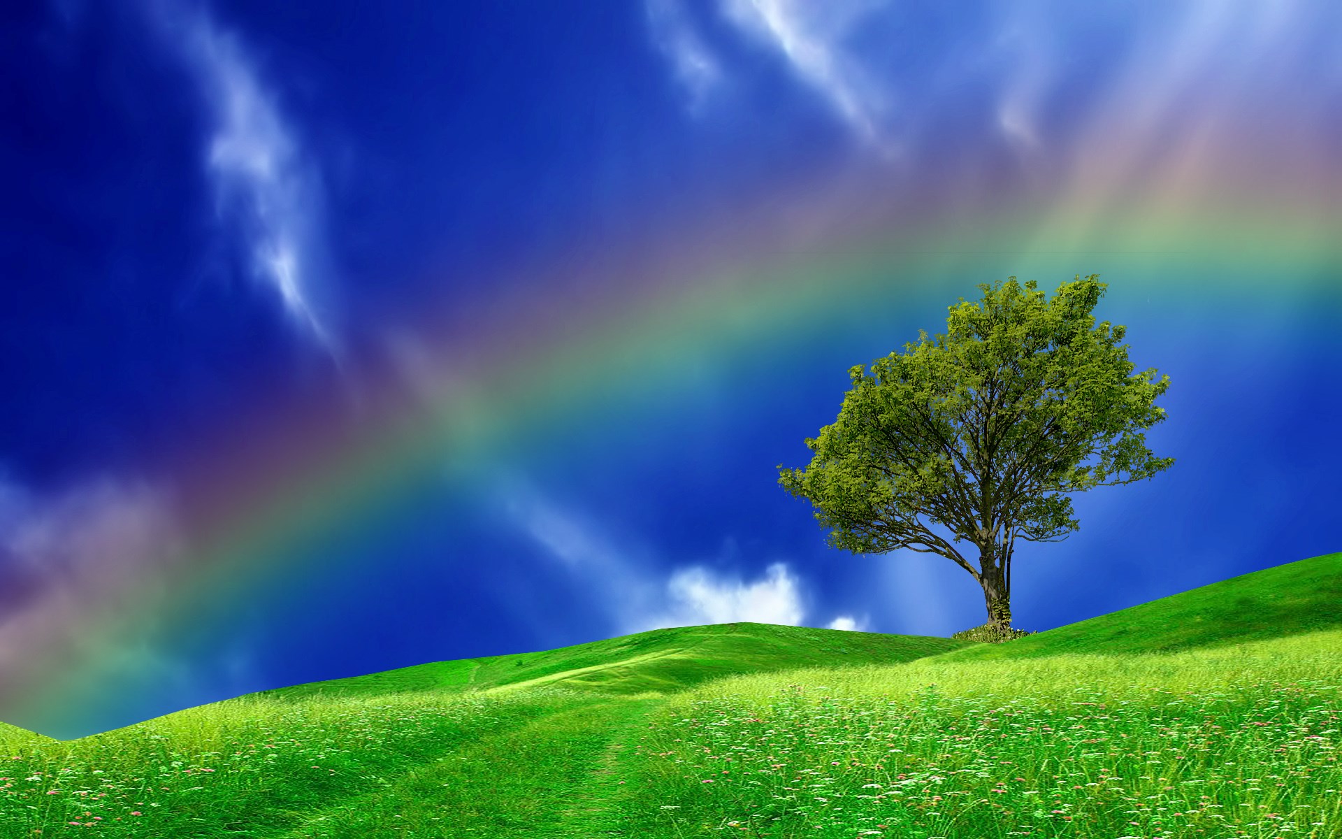 Nature Beauty Wallpaper
