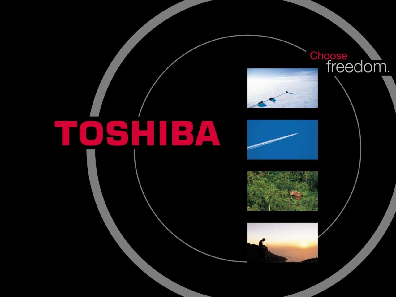 Best Wallpaper Of Toshiba Logo HD New