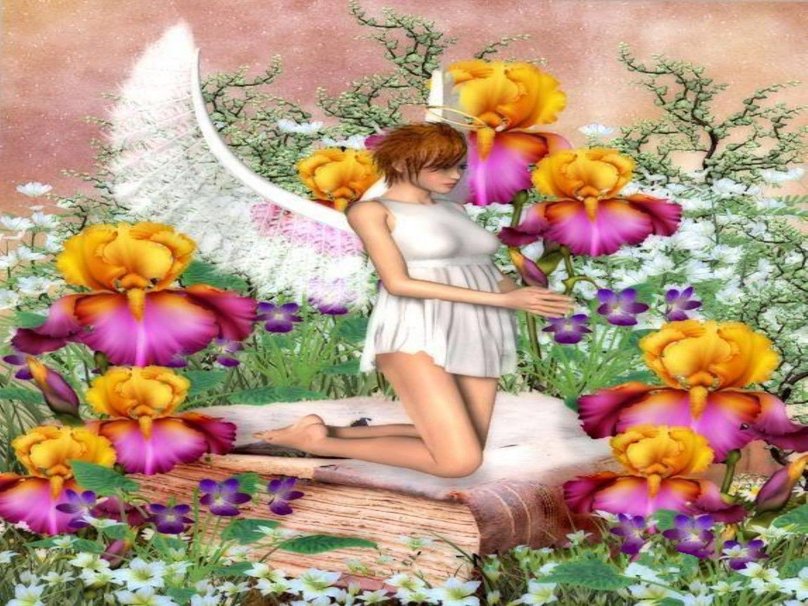 Fairy Garden Wallpaper