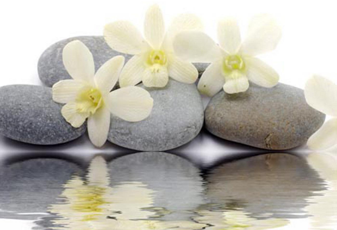 HD Wallpaper Zen Stones Reflecting White Flowers New Desktop