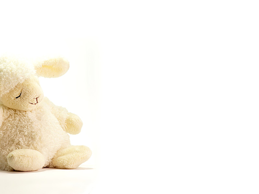 toy lamb wallpaper   a photo on Flickriver