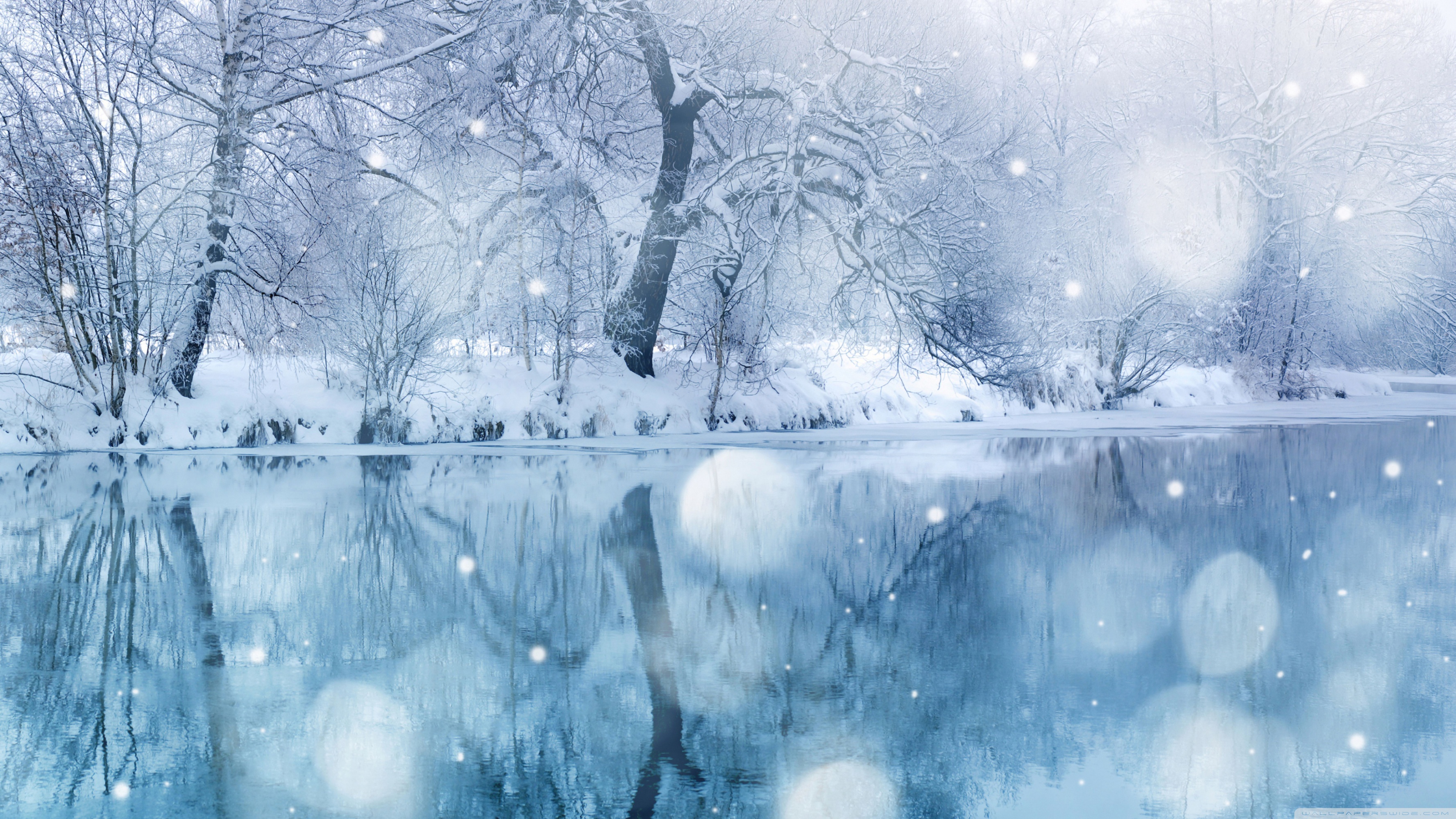 Winter Snowfall 4k Hd Desktop Wallpaper For Ultra Tv