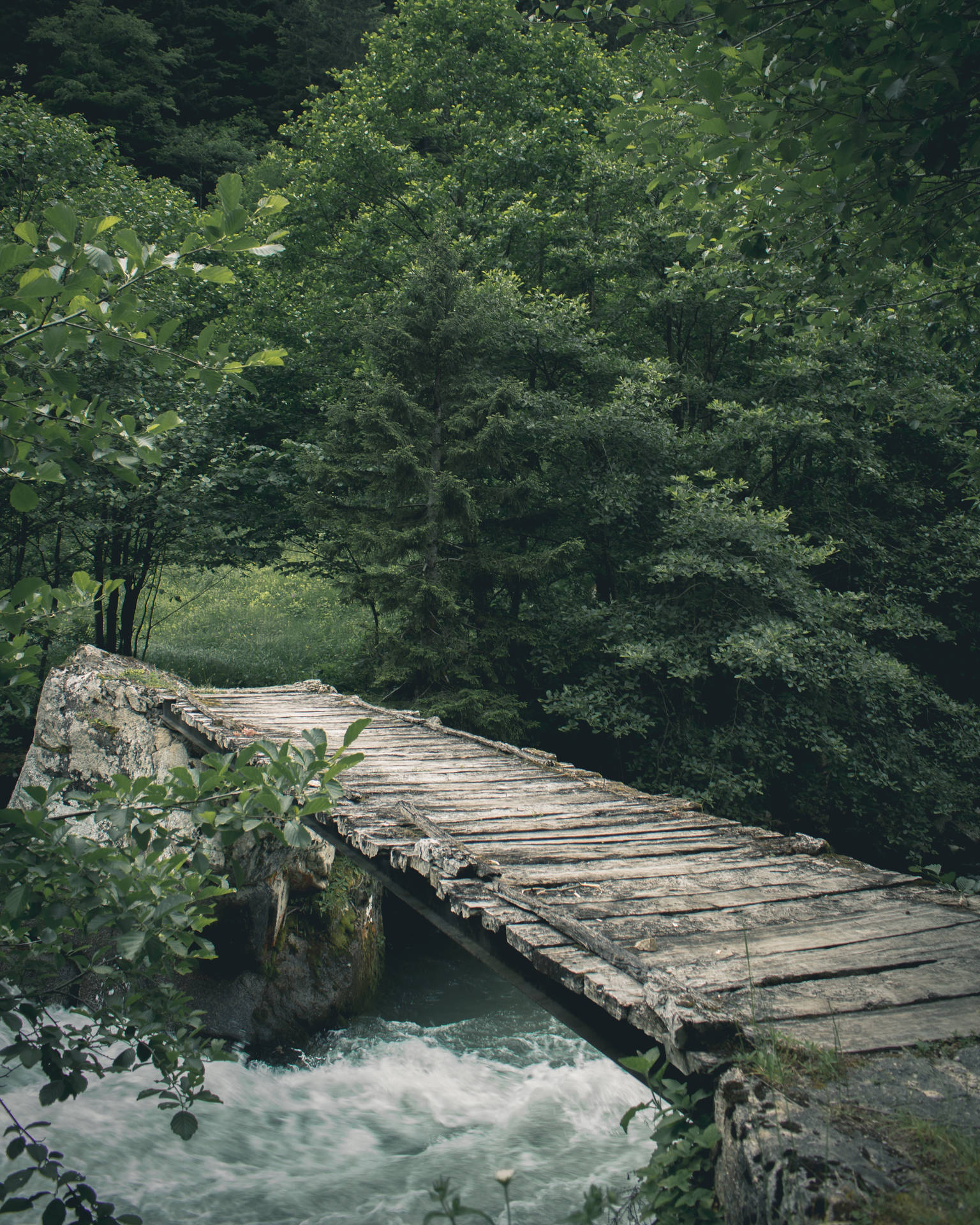 Nature Green River Wallpaper