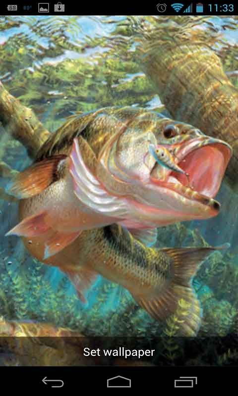Bass Fish Live Wallpaper Android