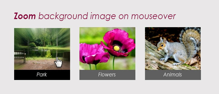 How to animate background size css with jquery Create a zoom effect 728x315