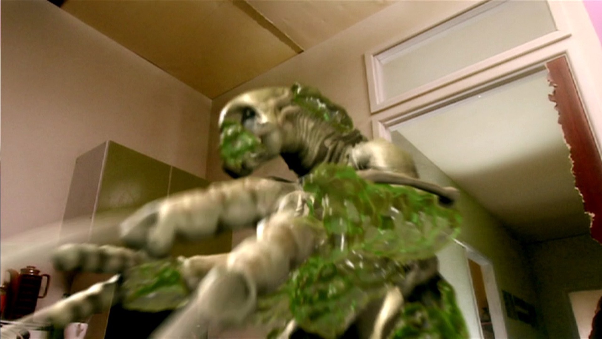 Slitheen Doctor Who World