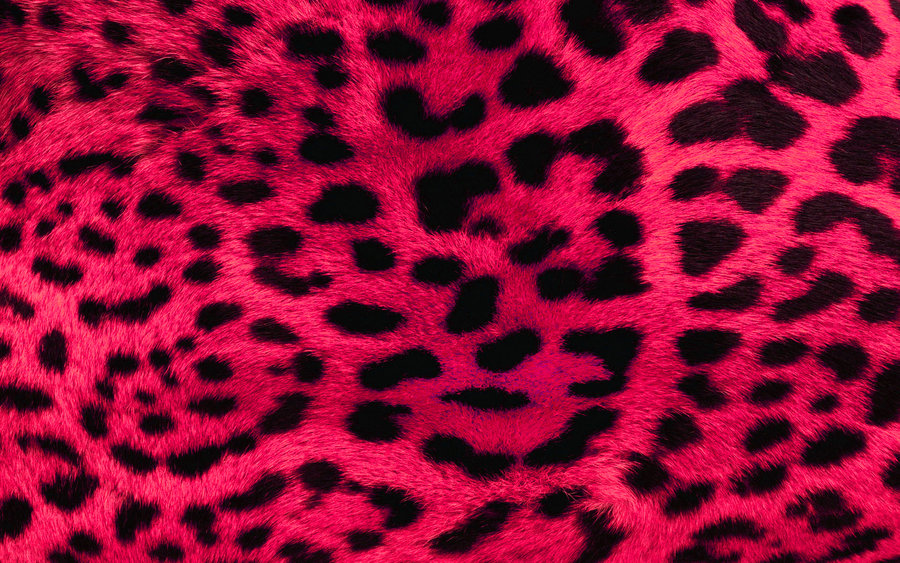 Pink Leopard Print Wallpaper By Angeldust