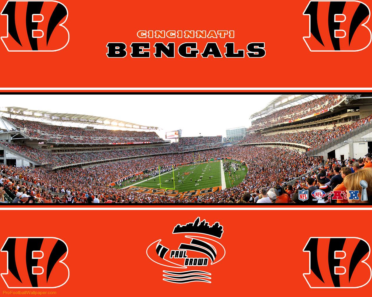Cincinnati Bengals Wallpaper 176668 HD Wallpaper Res 1280x1024 1280x1024