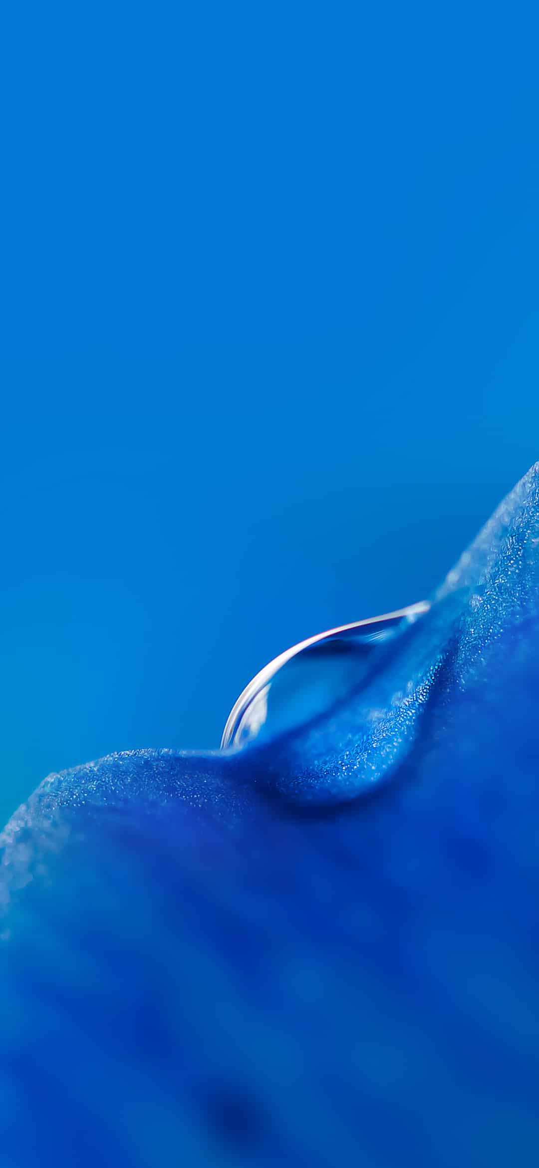 Close-up of a water droplet on a vibrant blue Xiaomi 14 Pro wallpaper, showcasing the phone's water resistance and vibrant display