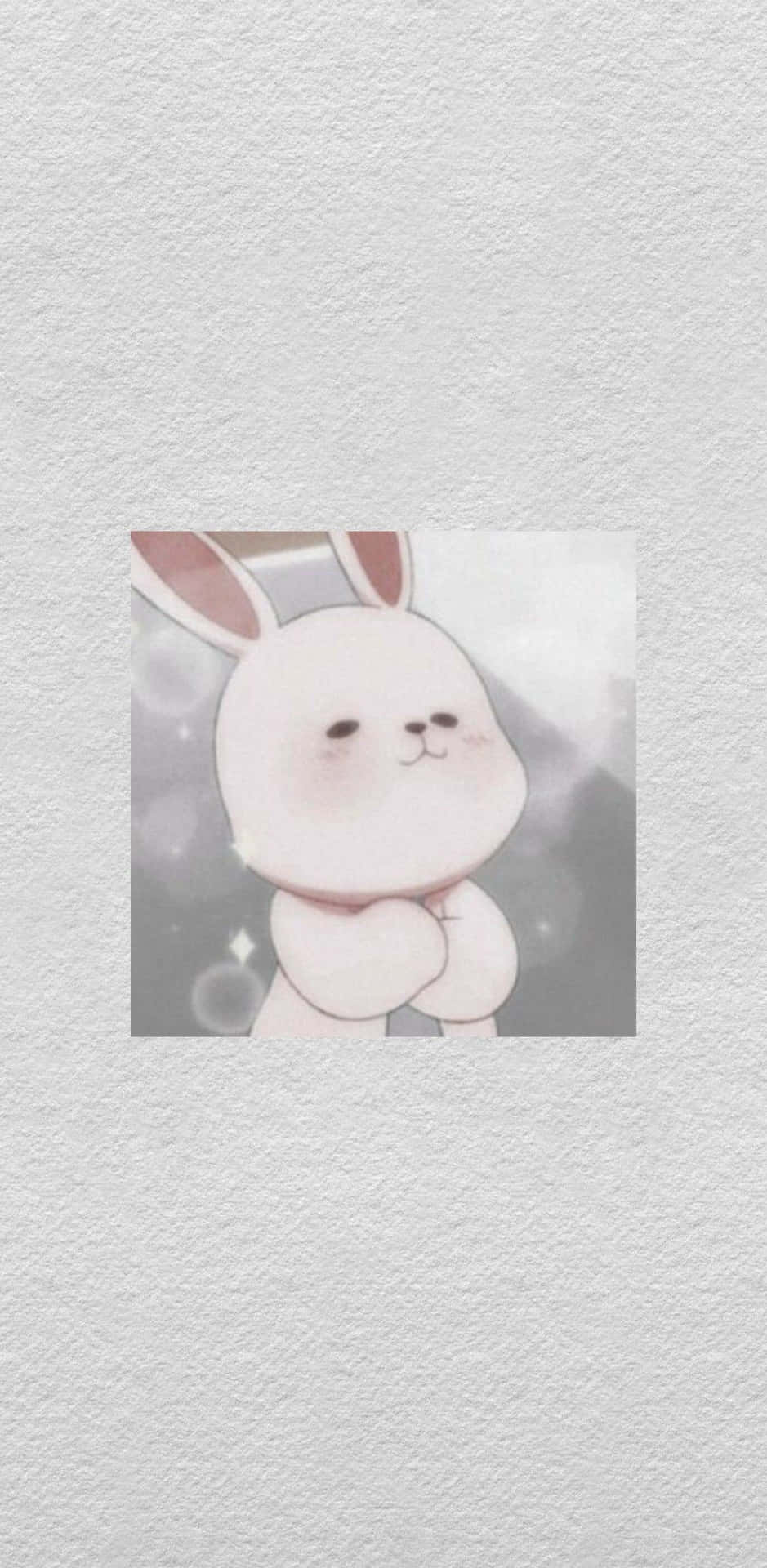 Bunny Aesthetic Wallpaper