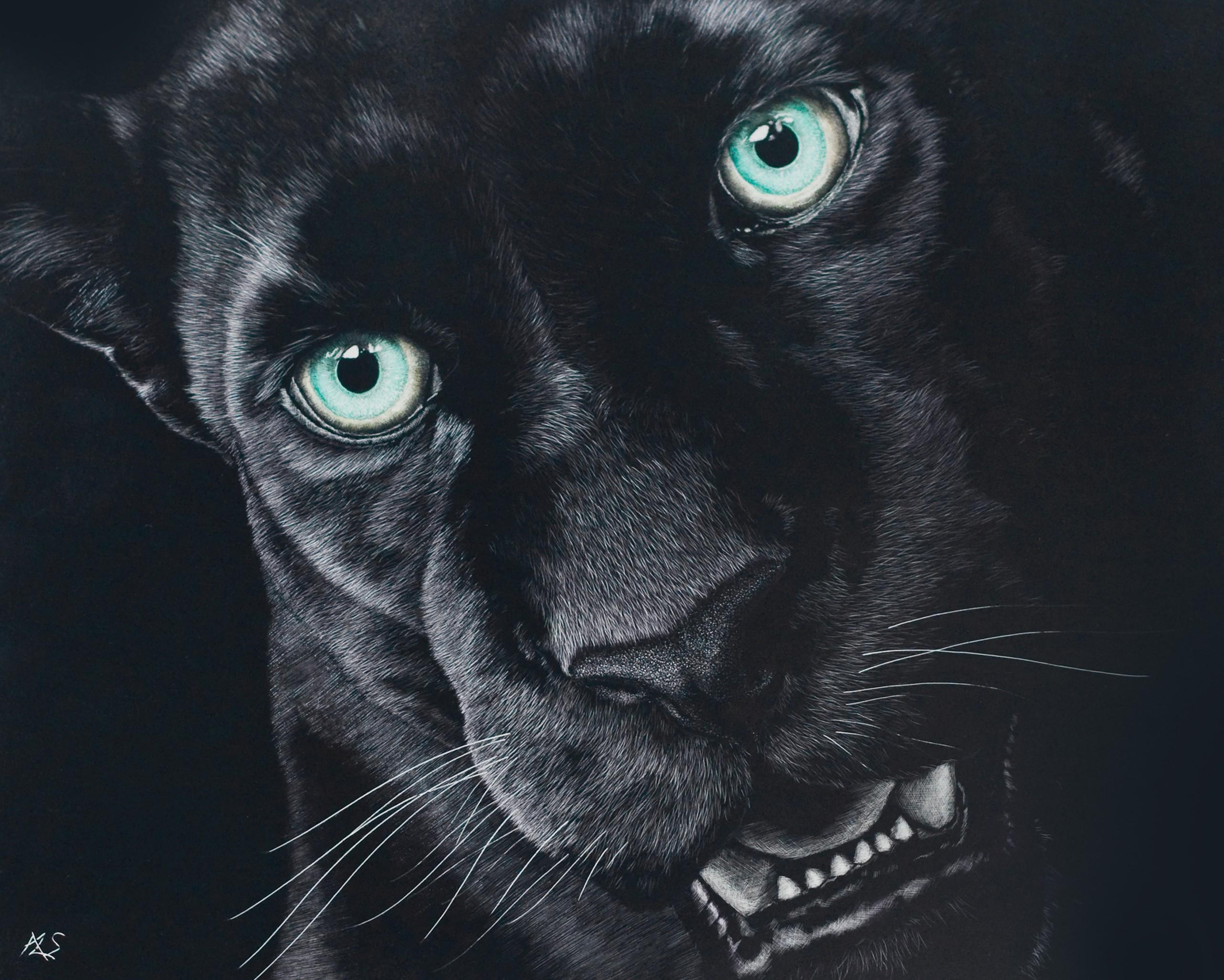 Black Jaguar Wallpaper HD