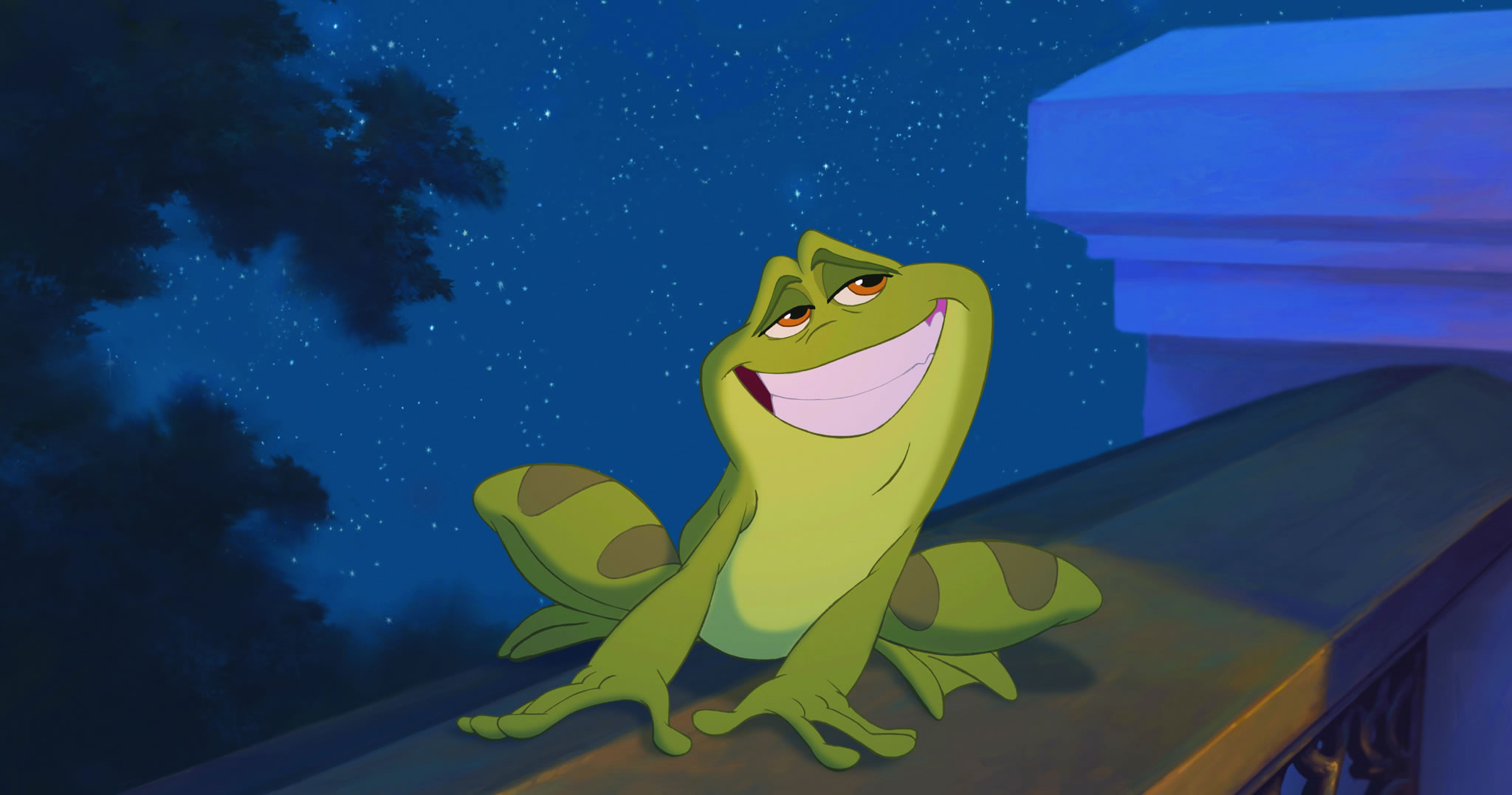 Animated Frog Background Wallpaper HD Background