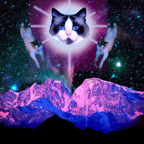 Tarot Potions and Psychedelic Magick Spells Hipster Cats in Space