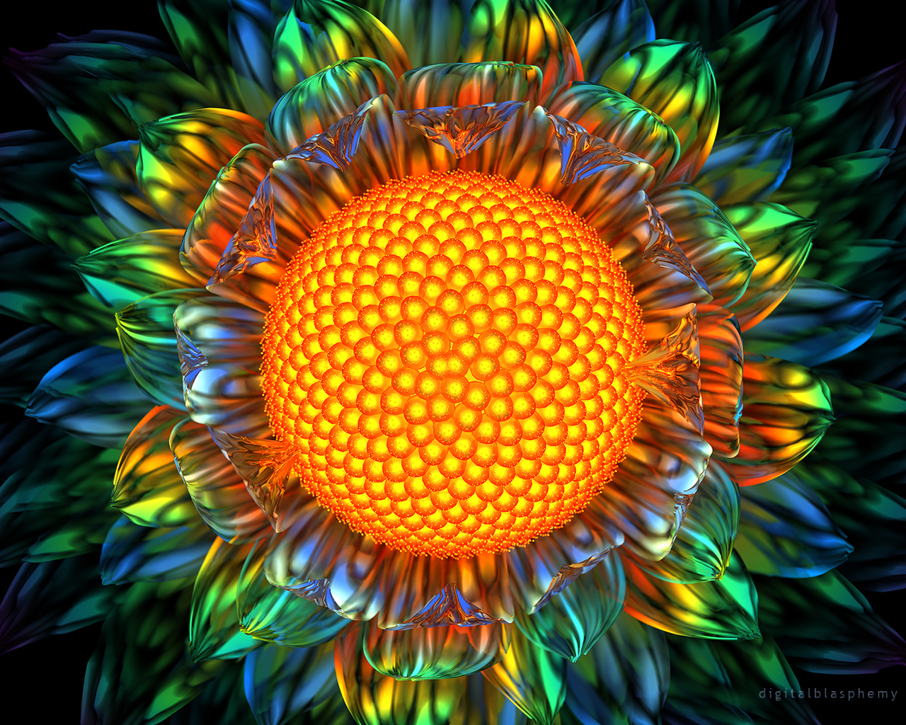 Sunburst Daisy 2012 shown at 1280 x 1024    Right or ALT Click to