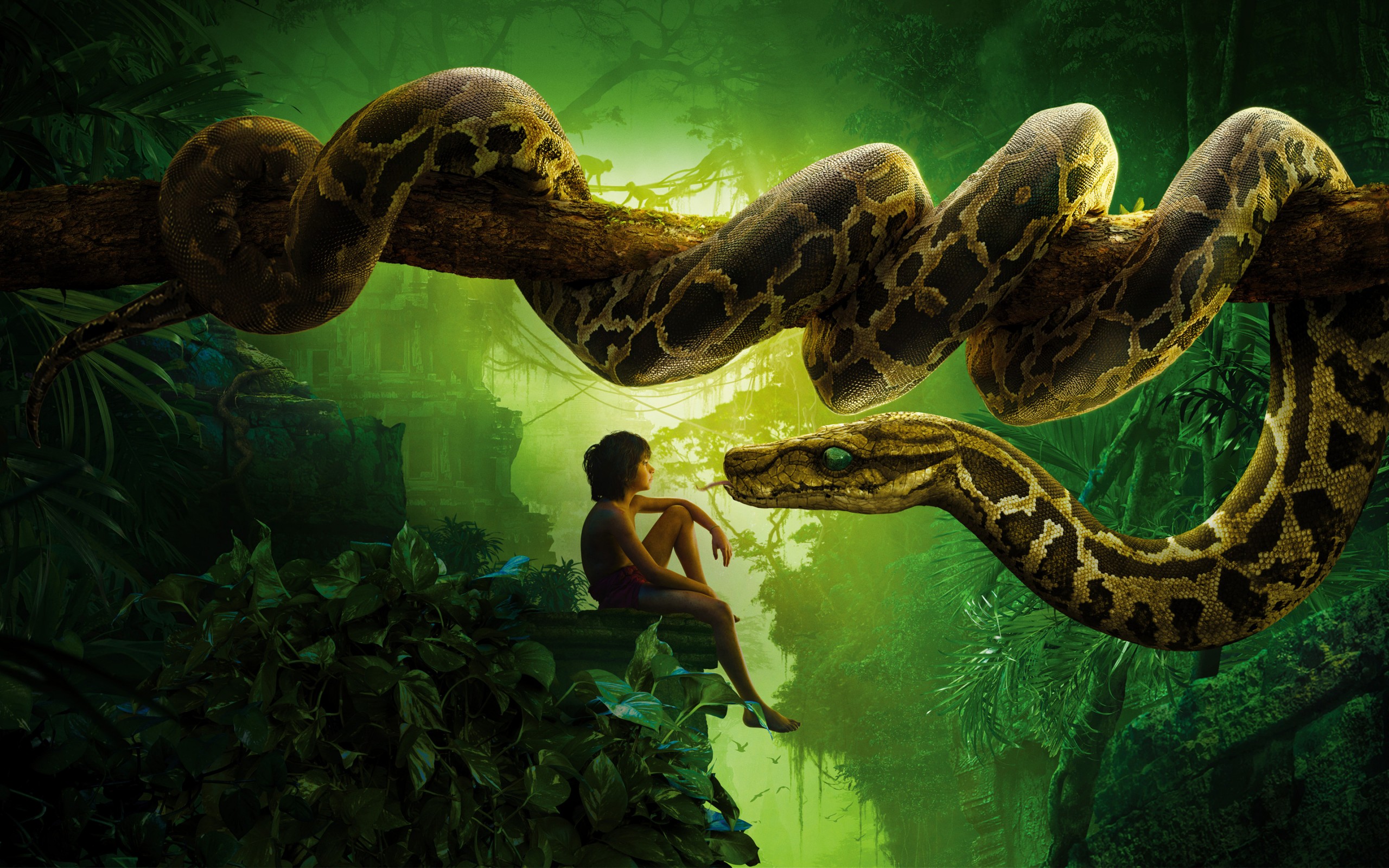 Jungle Book Snake Kaa Mowgli HD Wallpaper For Desktop And Mobiles