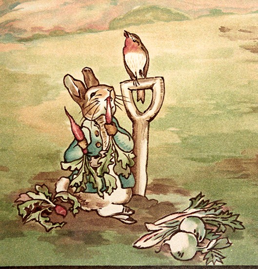 Beatrix Potter S Peter Rabbit Nursery Wallpaper Border Frieze Roll