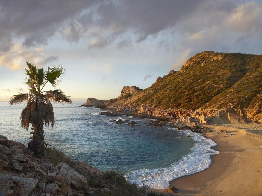 Chelino Bay Baja California Mexico Travels Future living