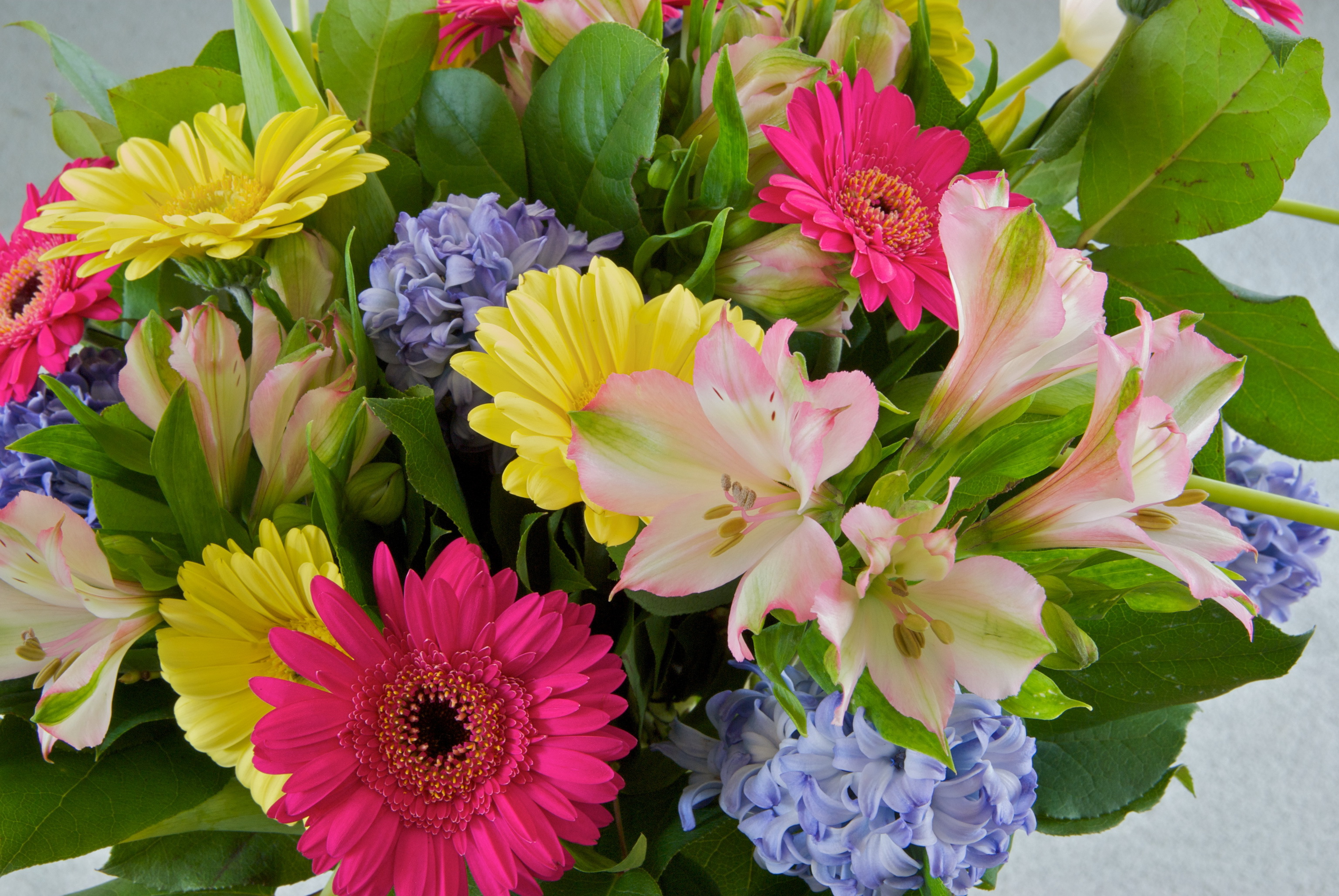 Beautiful Bouquet Of Flowers Gerbera Wallpaper And Image
