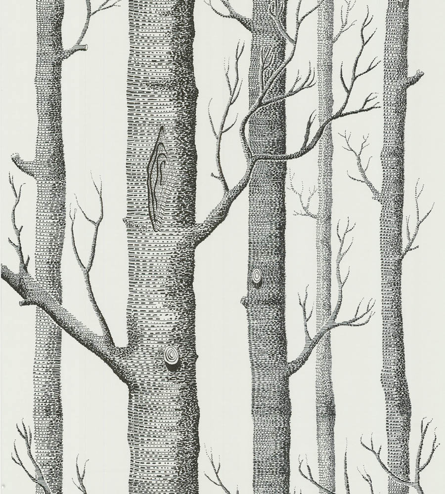Woods Wallpaper By Cole Son Jane Clayton