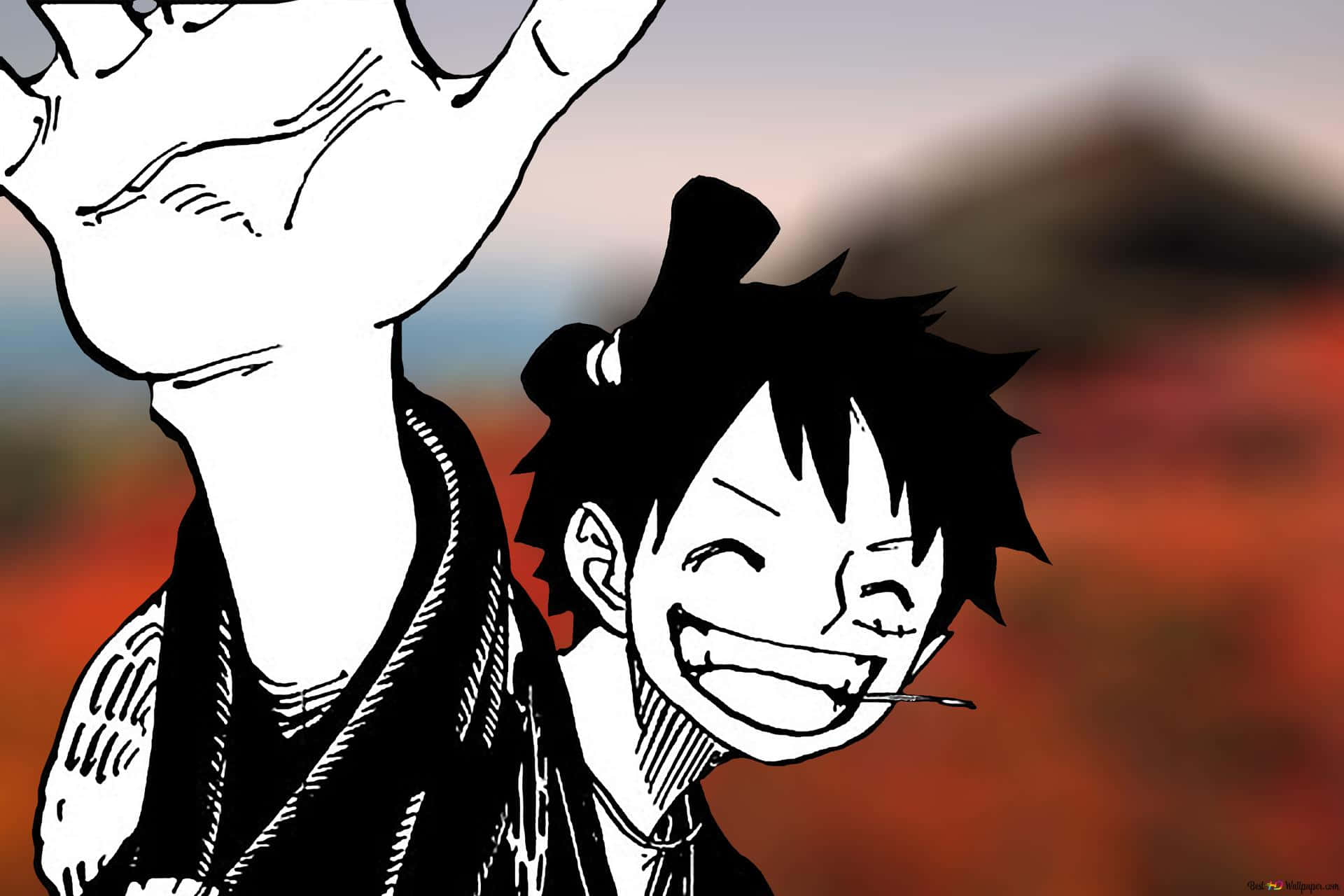 Luffy Black And White Wallpaper