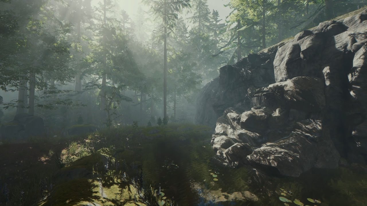 Wallpaper Engine The Forest Waterfall Loop With Sound