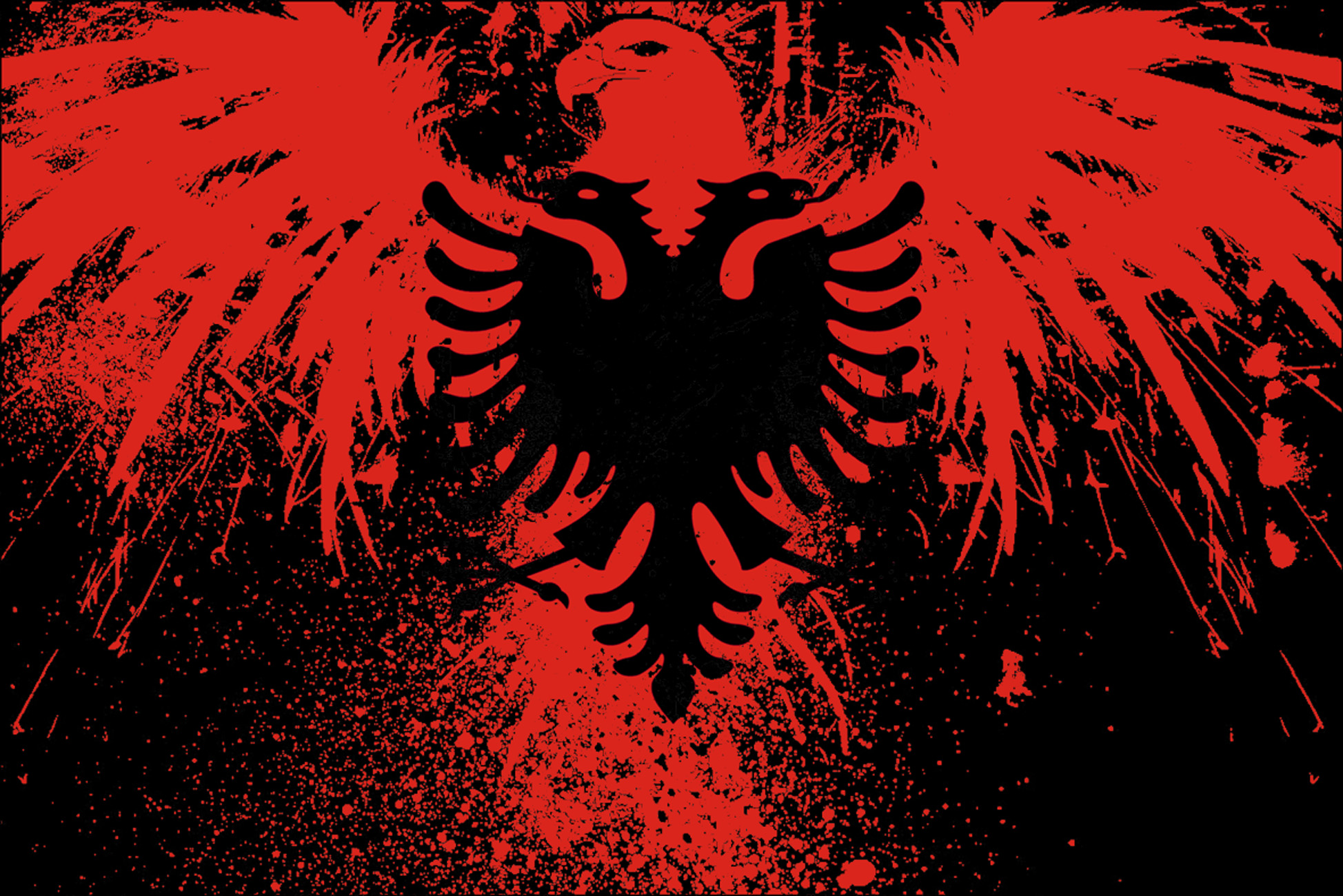 Albanian Eagle By Shrook