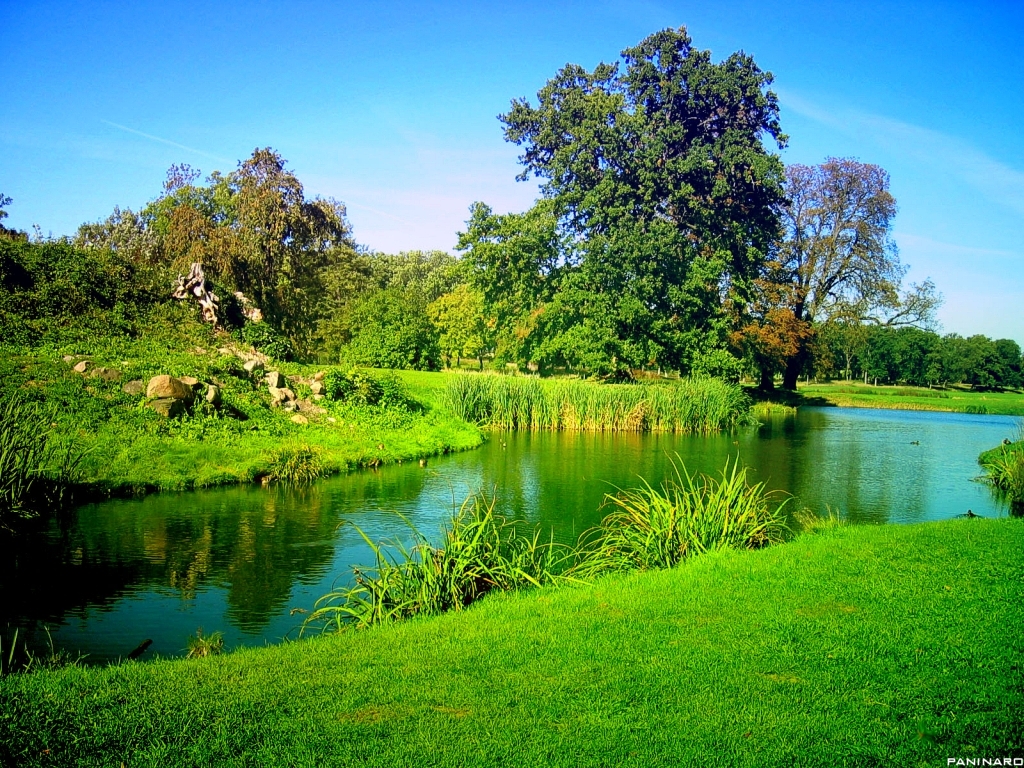 Nature Wallpaper Desktop Hd