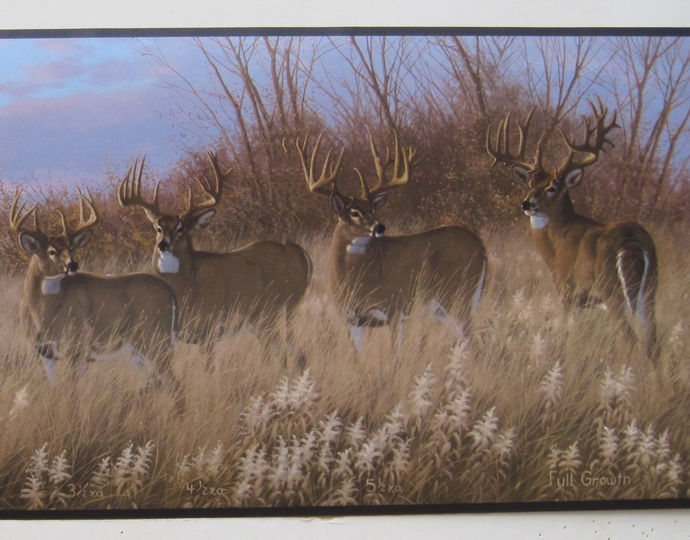 Deer Buck Doe Hunting Outdoors Wildlife Wallpaper Border
