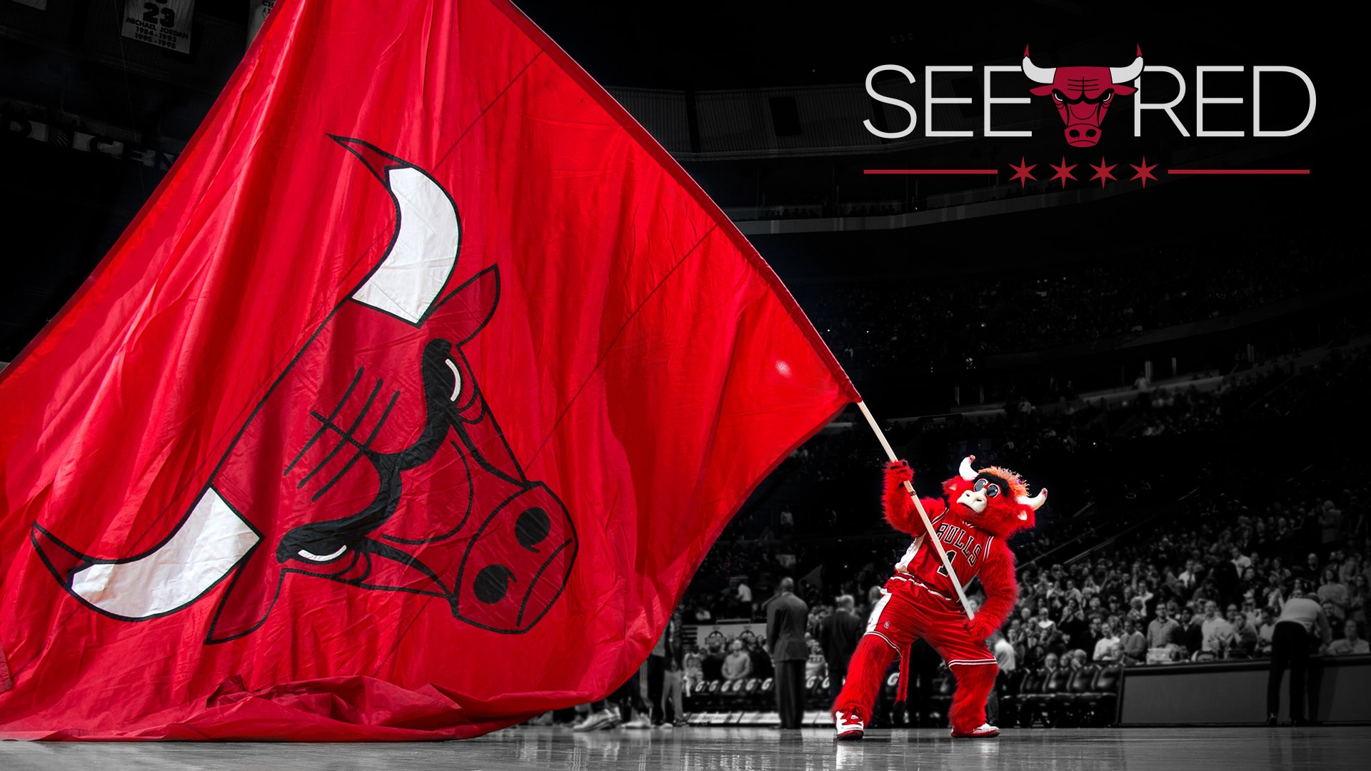Chicago Bulls 2014 NBA Playoffs See Red 1920x1080
