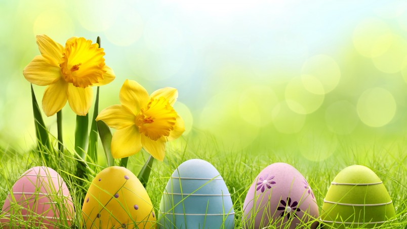 Cute Easter Eggs HD Wallpaper   WallpaperFX